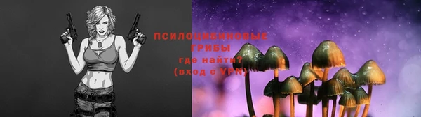МДПВ Лихославль