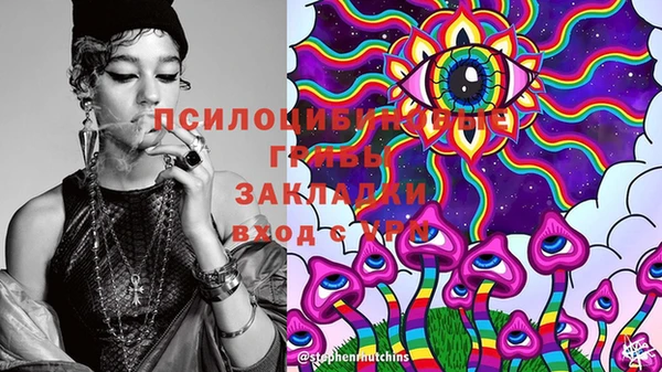 PSILOCYBIN Липки