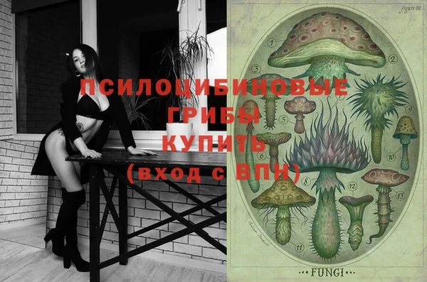 МДПВ Лихославль